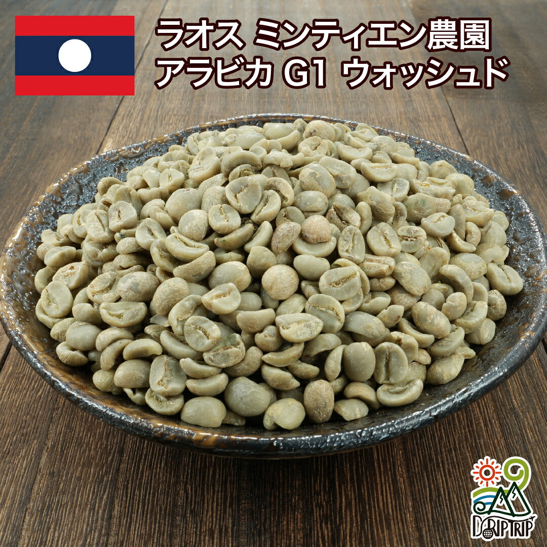 ラオス Washed Arabica G1 Min Tien Estate