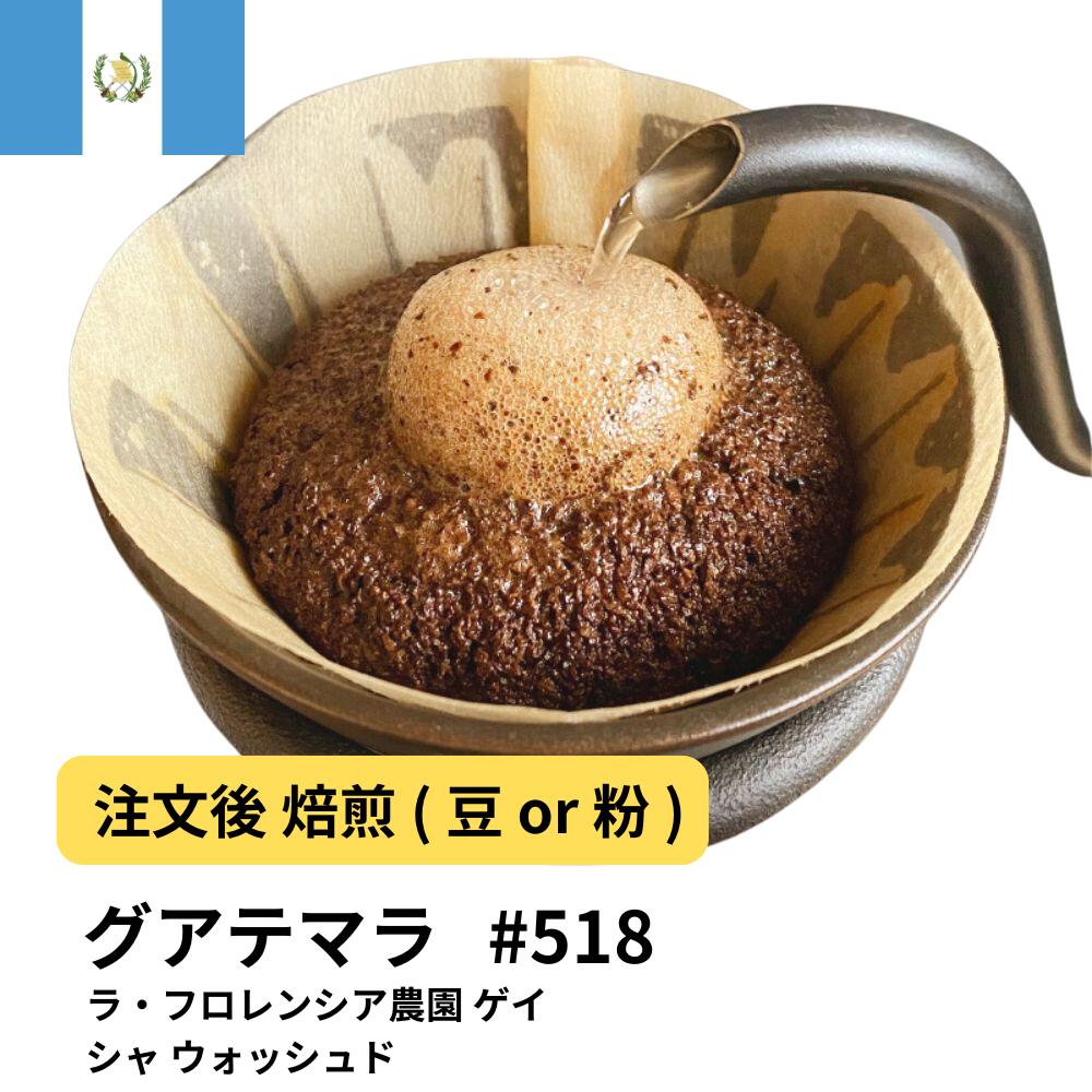 グアテマラ ラ・フロレンシア農園 ゲイシャ ウォッシュド