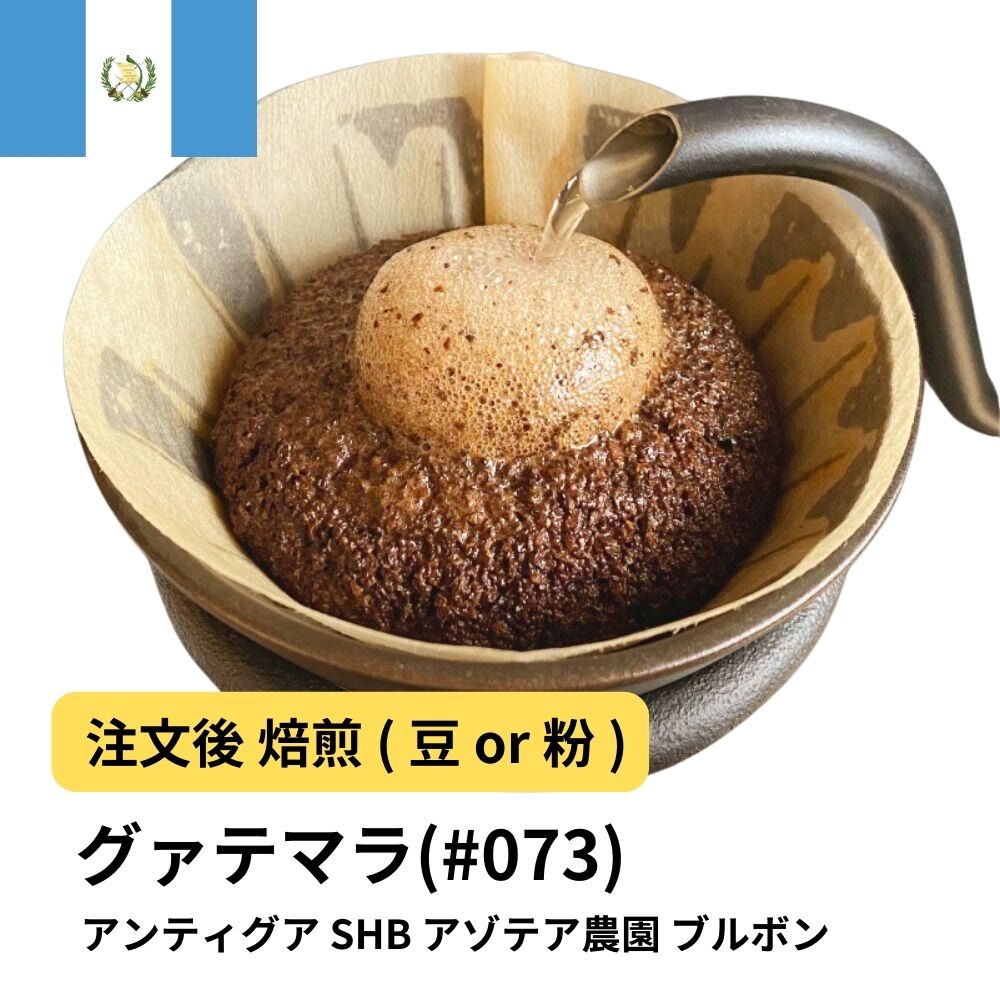 グアテマラ アンティグア SHB アゾテア農園 ブルボン