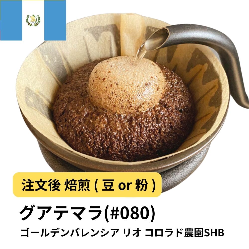 グアテマラ ゴールデンパレンシア リオ コロラド農園SHB