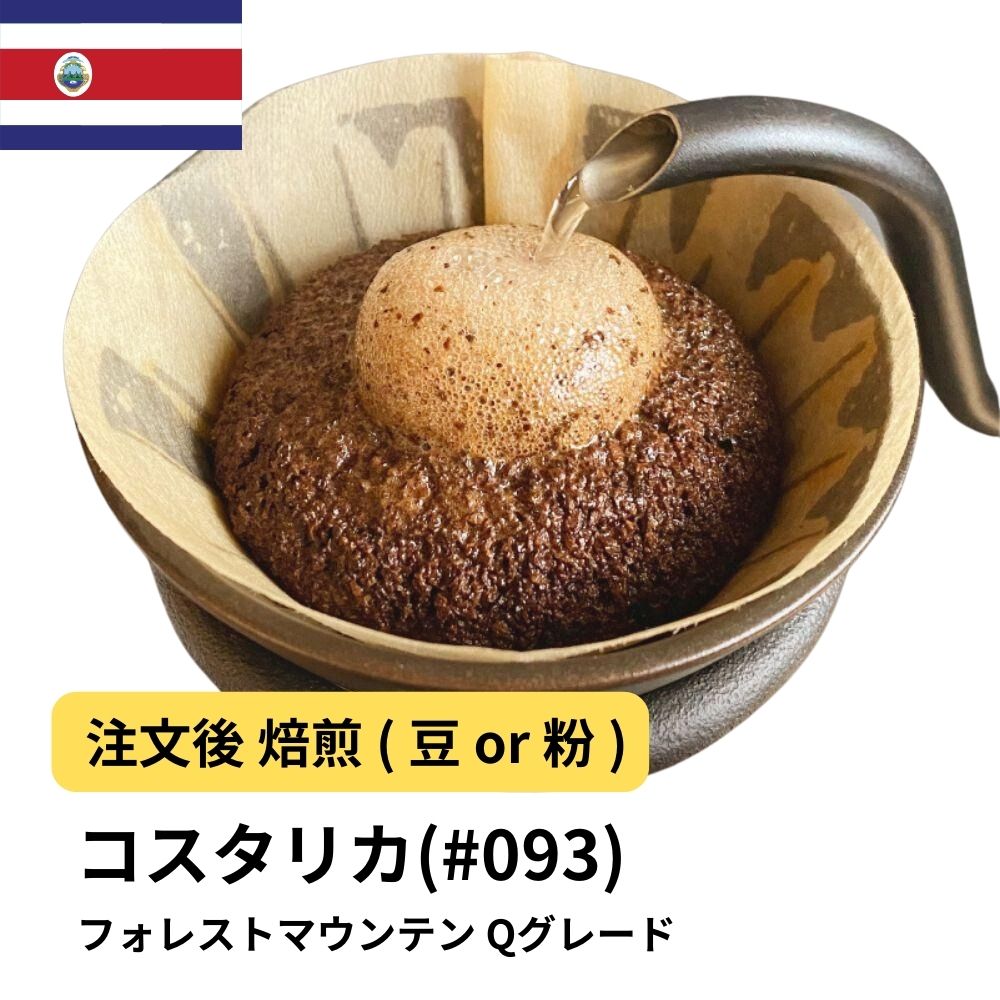 コスタリカ フォレストマウンテン Qグレード