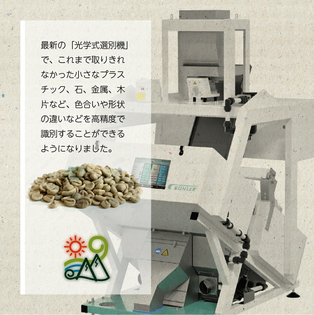 グアテマラ SHB サンタロッサS17 Qグレード