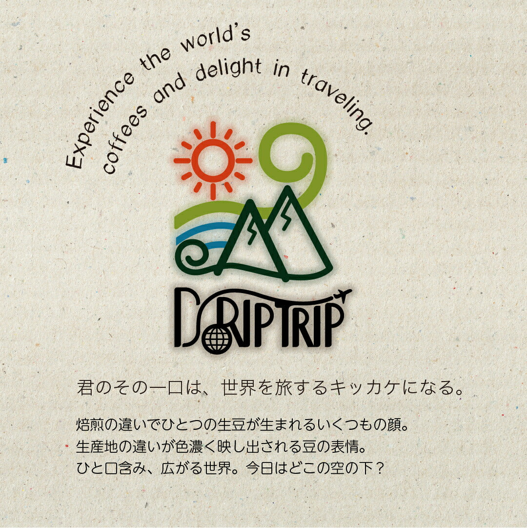 グアテマラ VIVA LA VIDA SHB ソロラ アティトゥラン パンポヒラ農園