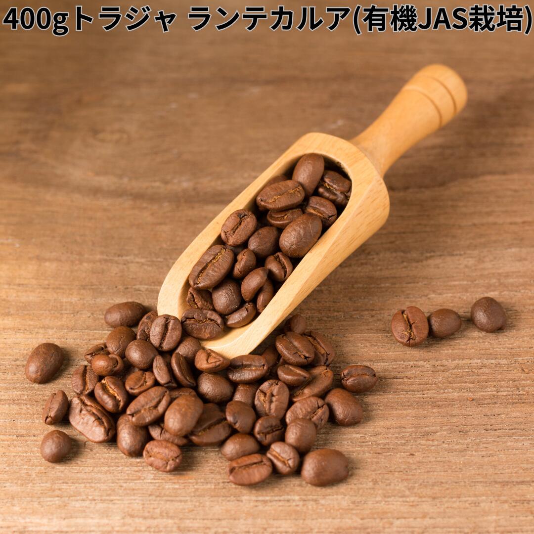 トラジャ ランテカルア(有機JAS栽培)