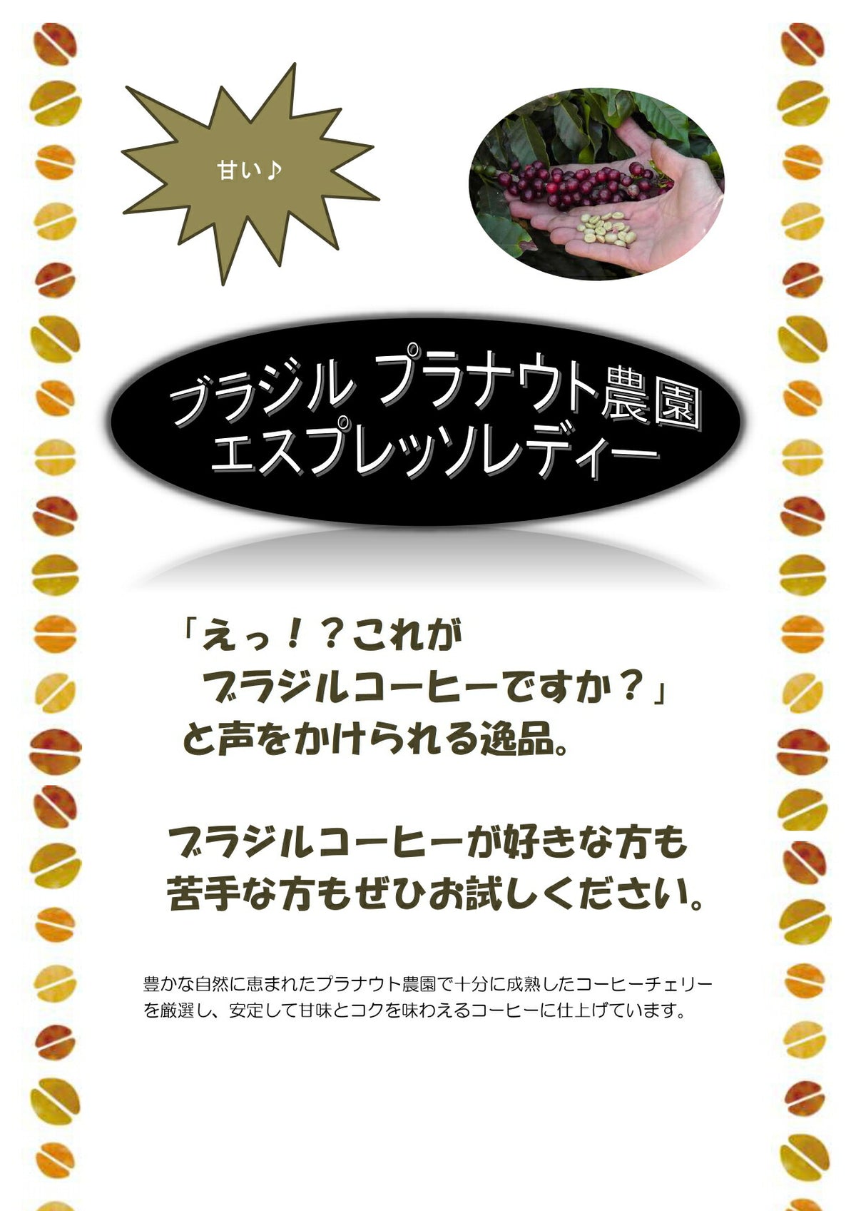 ブラジル プラナウト農園 エスプレッソレディー