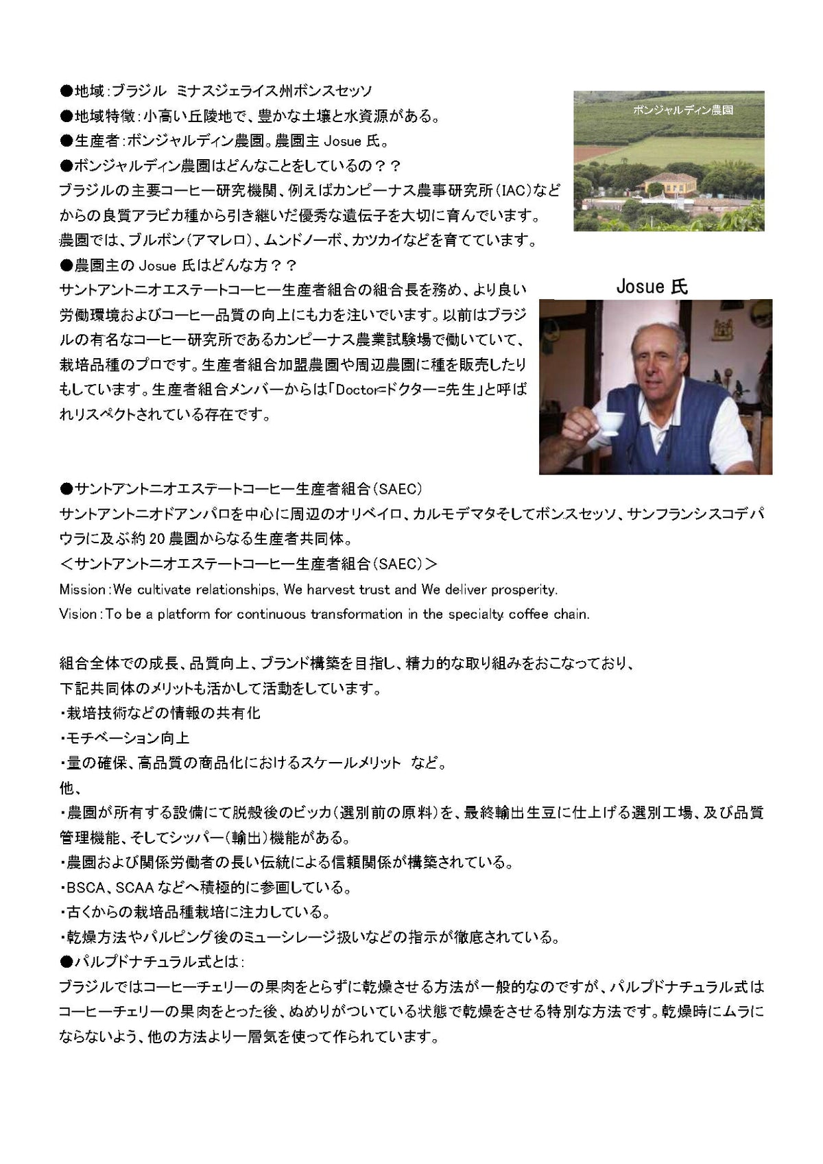ブラジル ブルボンアマレロ パルプドナチュラル ボンジャルディン農園（PN）