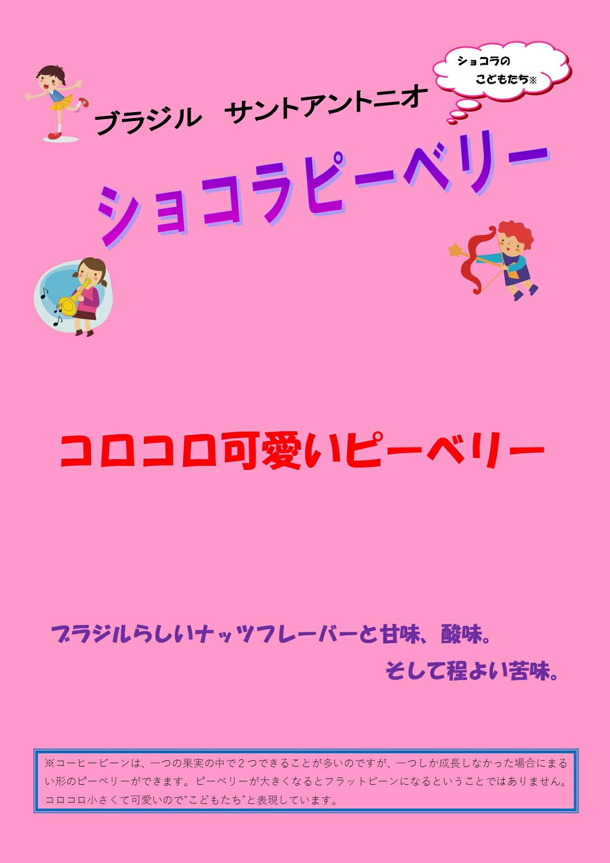 ブラジル サントアントニオ ショコラ ピーベリー