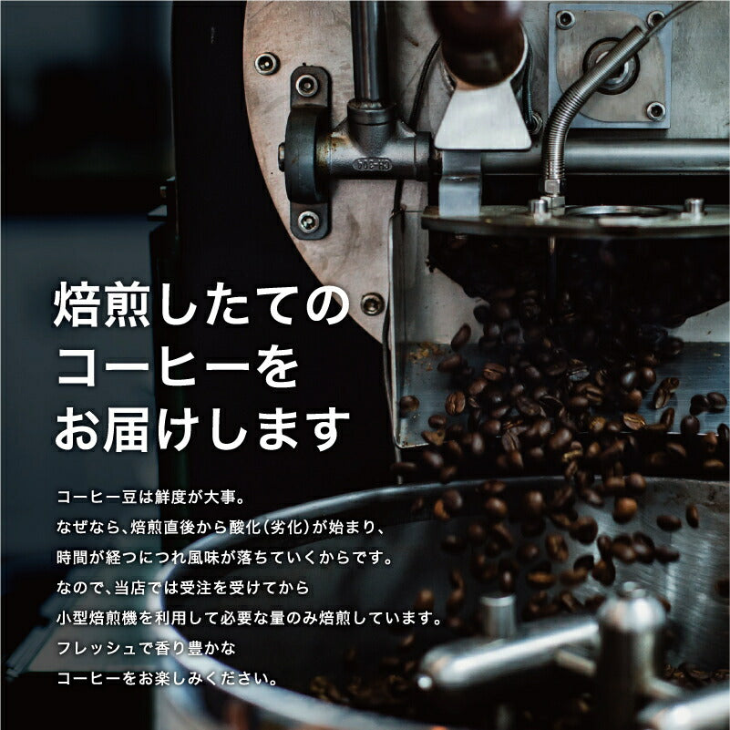 メキシコSHG チアパス Qグレード 有機JAS