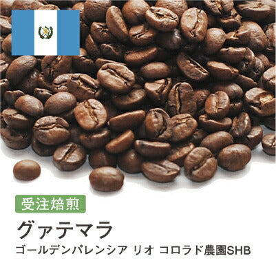 グアテマラ ゴールデンパレンシア リオ コロラド農園SHB