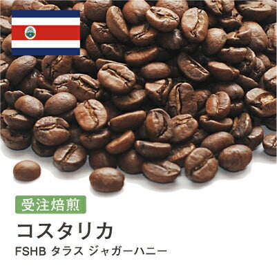 コスタリカ ジャガーハニー