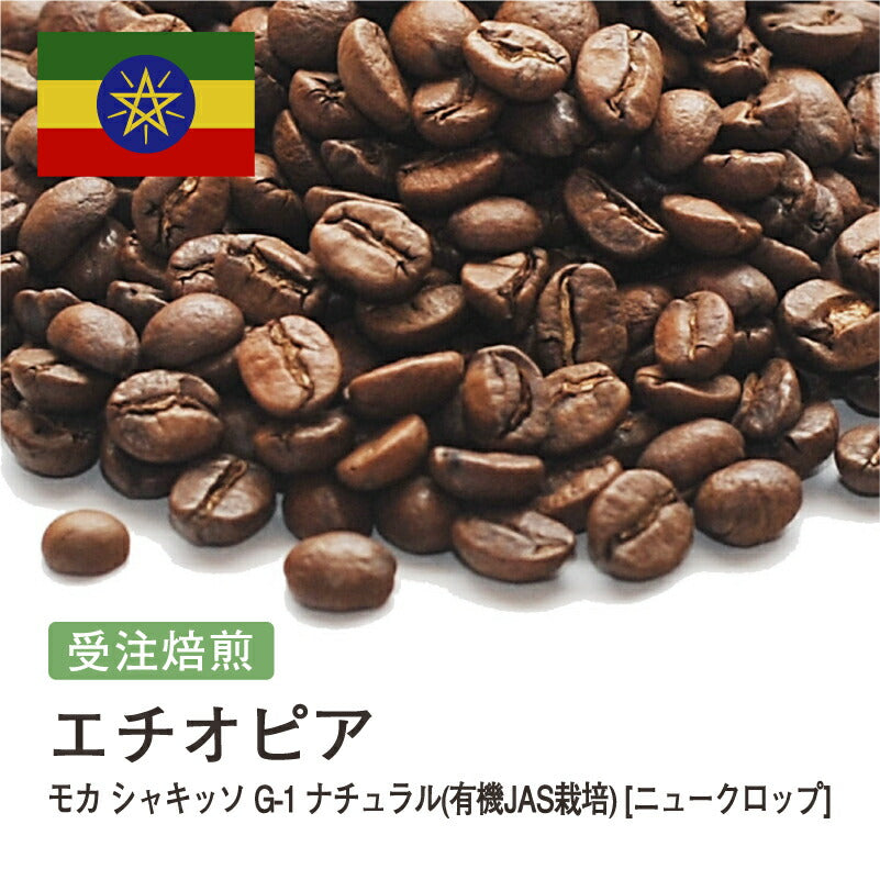 モカ シャキッソ G-1 ナチュラル