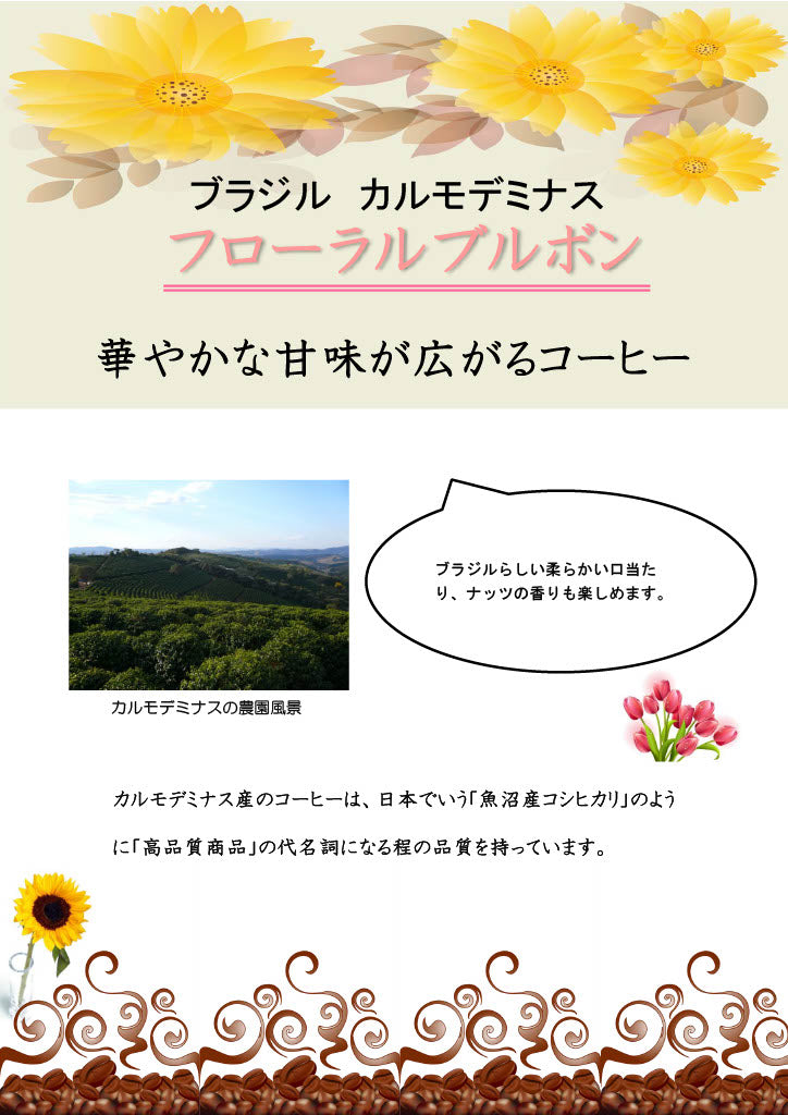ブラジル カルモデミナス フローラルブルボン