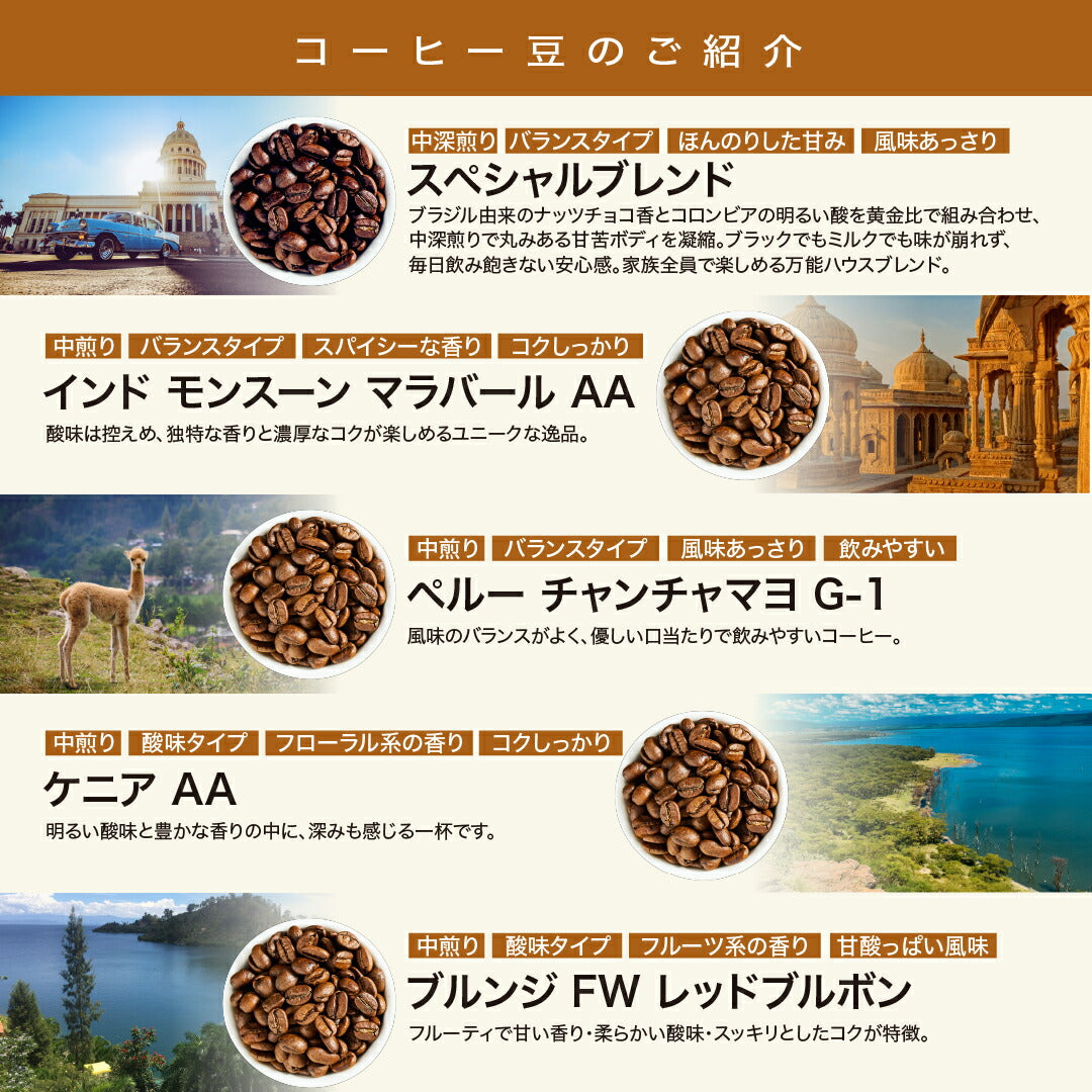 コーヒー豆 お試しセット 15種類から選べる3種 飲み比べ 100g×3袋 送料無料 浅煎り 中煎り 深煎り 焙煎したて スペシャルティコーヒー 自家焙煎 珈琲豆 DRIP TRIP ドリップトリップ 送料無料