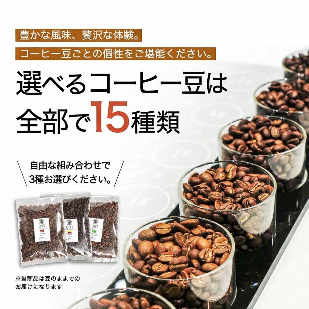 コーヒー豆 お試しセット 15種類から選べる3種 飲み比べ 100g×3袋 送料無料 浅煎り 中煎り 深煎り 焙煎したて スペシャルティコーヒー 自家焙煎 珈琲豆 DRIP TRIP ドリップトリップ 送料無料