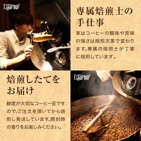 コーヒー豆 桜 ブレンド 浅煎り仕上げ フルーティーで華やかな春の香り 受注焙煎 200g DRIP TRIP