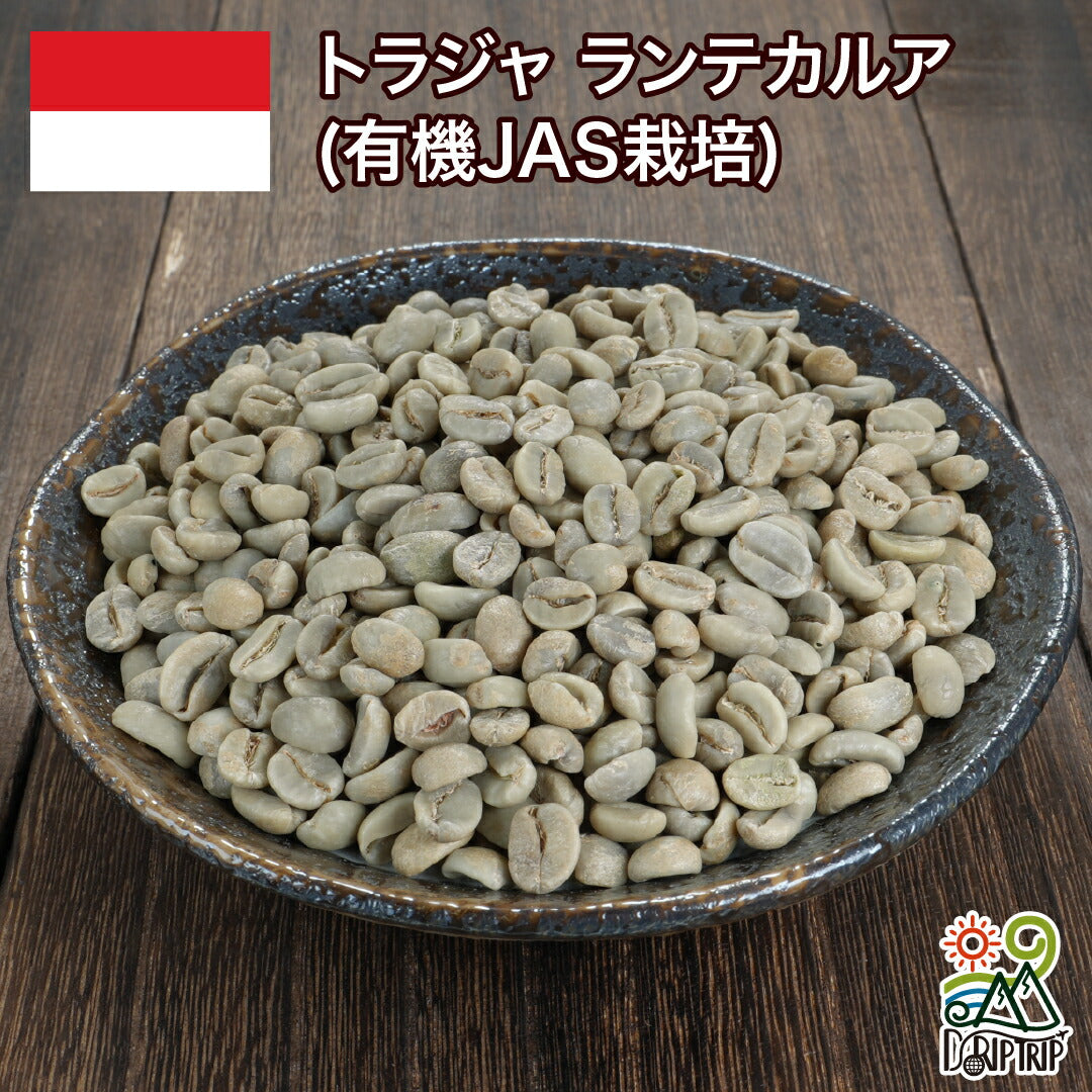 トラジャ ランテカルア(有機JAS栽培)