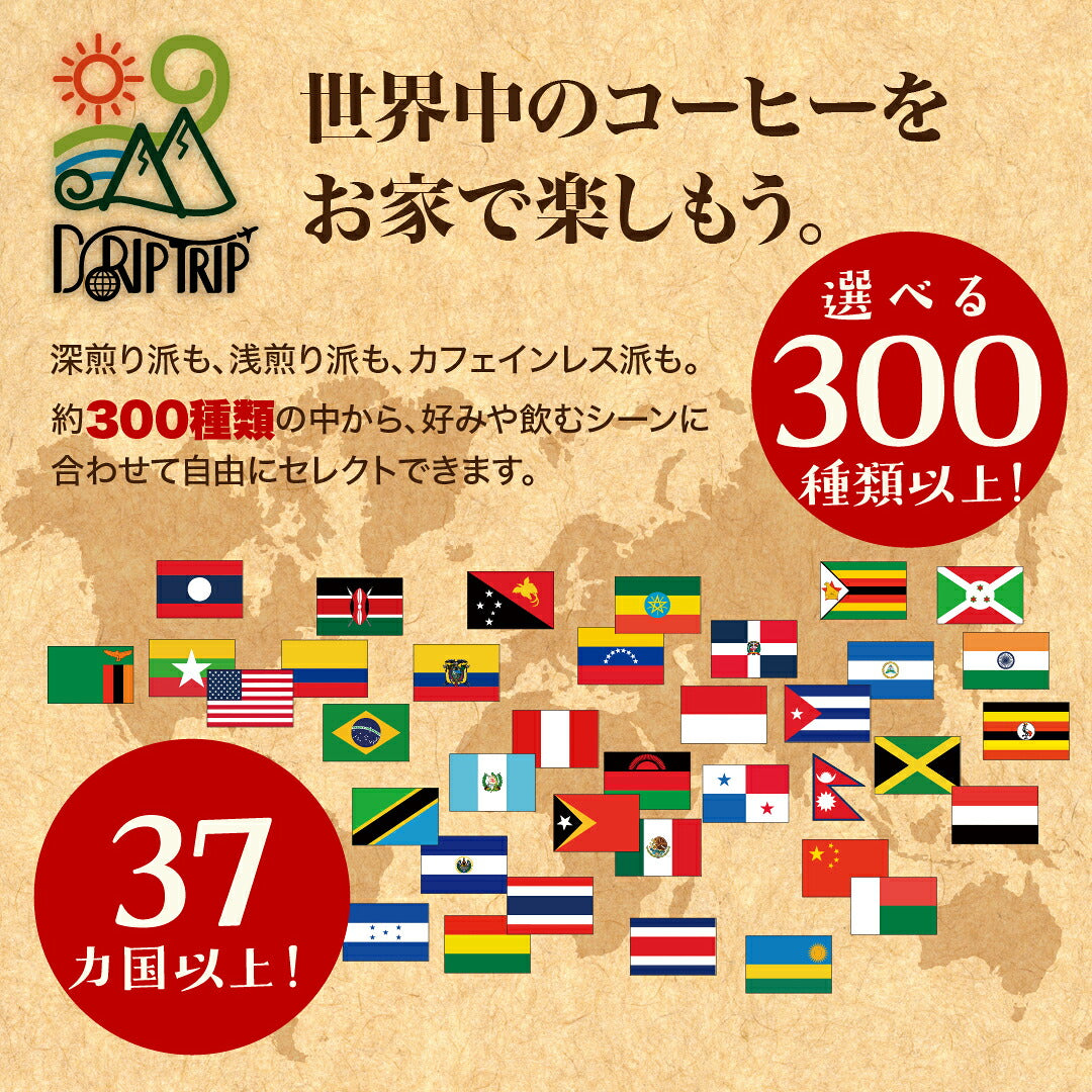 スペシャルティコーヒーお試し コーヒー豆 飲み比べ ゲイシャや浅煎りから深煎りまで飲める DRIP TRIP 粉 40g×6袋 珈琲豆 トライアル 福袋