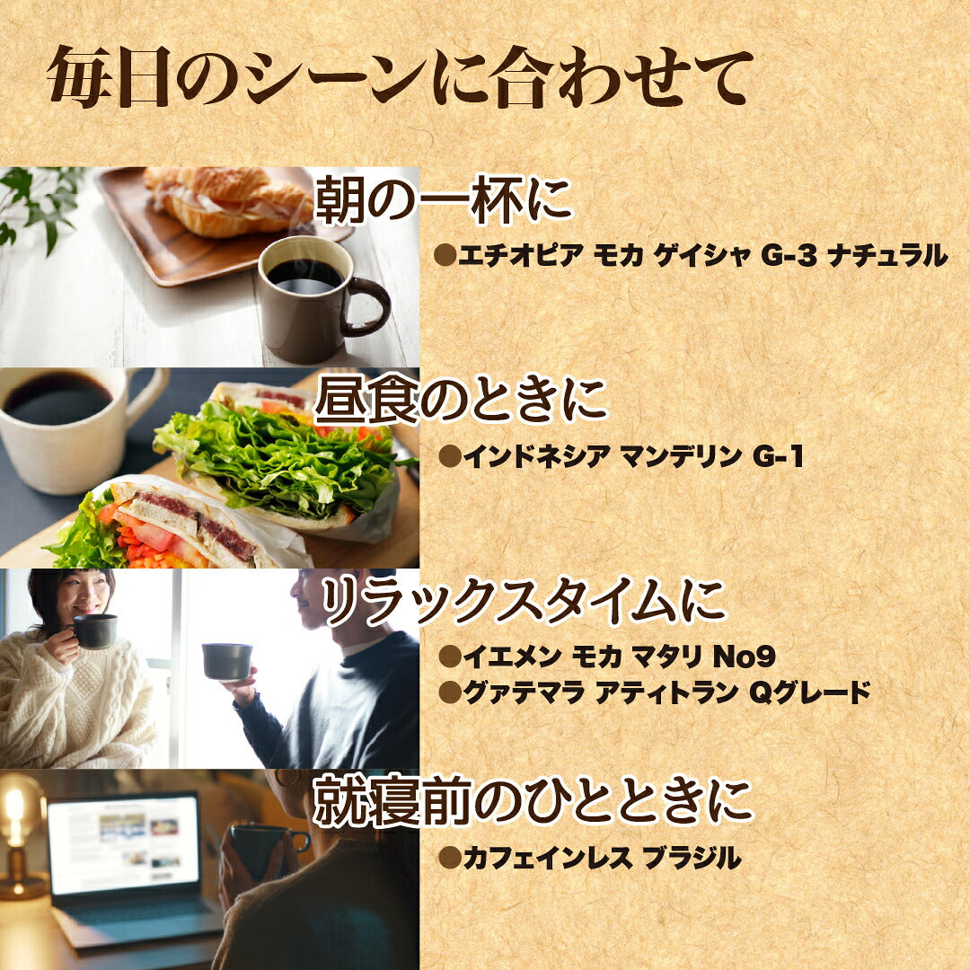 スペシャルティコーヒーお試し コーヒー豆 飲み比べ ゲイシャや浅煎りから深煎りまで飲める DRIP TRIP 粉 40g×6袋 珈琲豆 トライアル 福袋