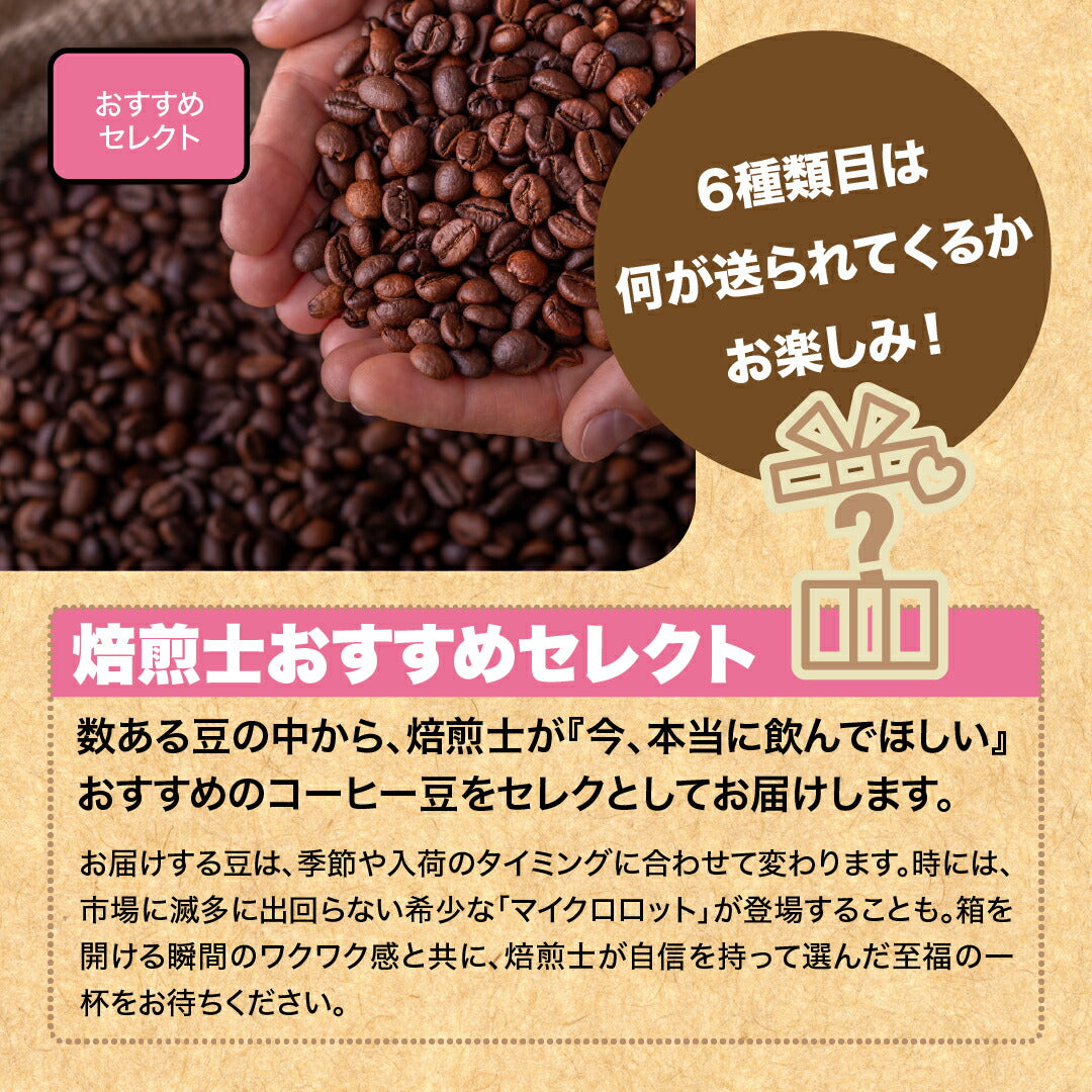 スペシャルティコーヒーお試し コーヒー豆 飲み比べ ゲイシャや浅煎りから深煎りまで飲める DRIP TRIP 粉 40g×6袋 珈琲豆 トライアル 福袋