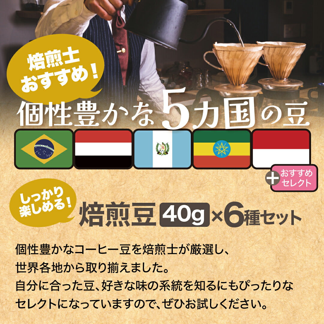 スペシャルティコーヒーお試し コーヒー豆 飲み比べ ゲイシャや浅煎りから深煎りまで飲める DRIP TRIP 粉 40g×6袋 珈琲豆 トライアル 福袋