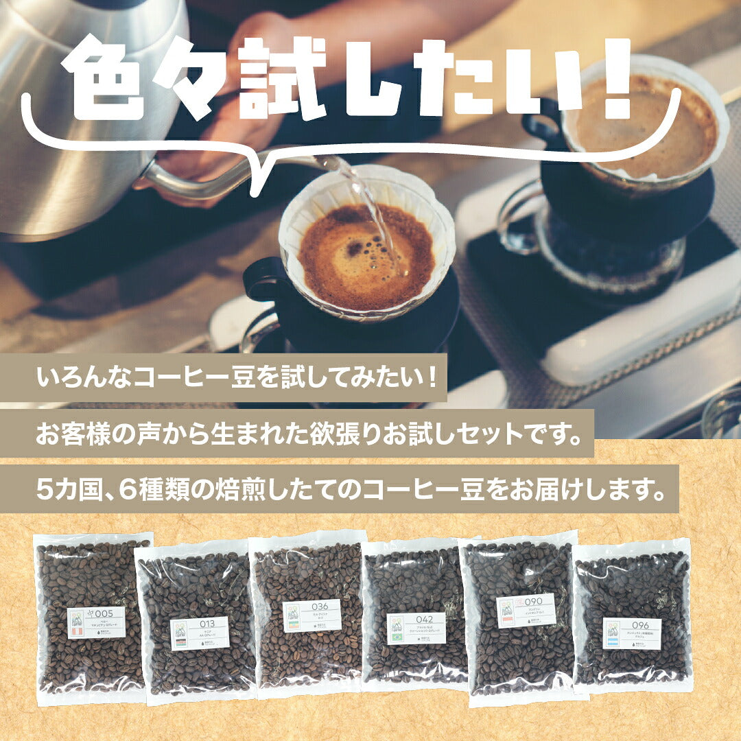 スペシャルティコーヒーお試し コーヒー豆 飲み比べ ゲイシャや浅煎りから深煎りまで飲める DRIP TRIP 粉 40g×6袋 珈琲豆 トライアル 福袋