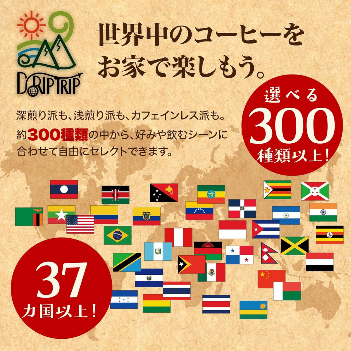 コスタリカ フォレストマウンテン Qグレード