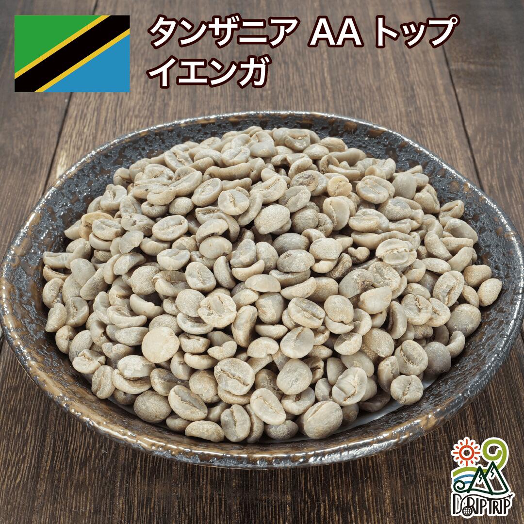 タンザニア AA トップ イエンガ