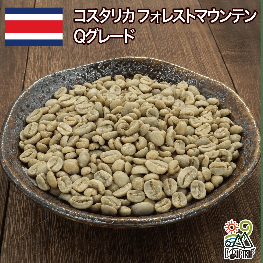 コスタリカ フォレストマウンテン Qグレード