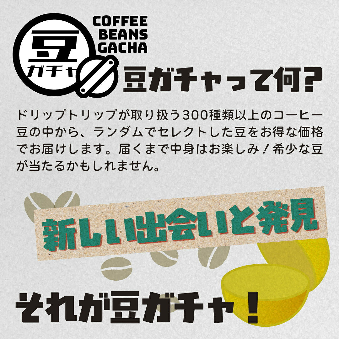 【はずれなし】豆ガチャ コーヒー豆 100g×1袋 2袋 3袋 おまかせ スペシャルティコーヒー シングルオリジン 焙煎度が選べる 豆 粉 珈琲 福袋 driptrip