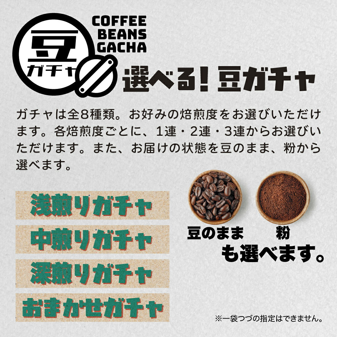【はずれなし】豆ガチャ コーヒー豆 100g×1袋 2袋 3袋 おまかせ スペシャルティコーヒー シングルオリジン 焙煎度が選べる 豆 粉 珈琲 福袋 driptrip