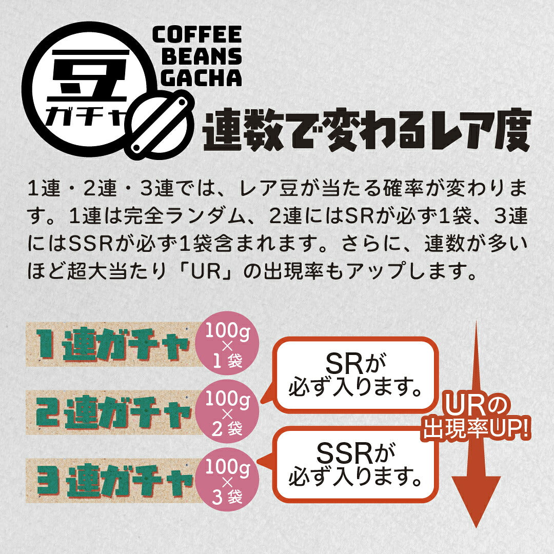 【はずれなし】豆ガチャ コーヒー豆 100g×1袋 2袋 3袋 おまかせ スペシャルティコーヒー シングルオリジン 焙煎度が選べる 豆 粉 珈琲 福袋 driptrip