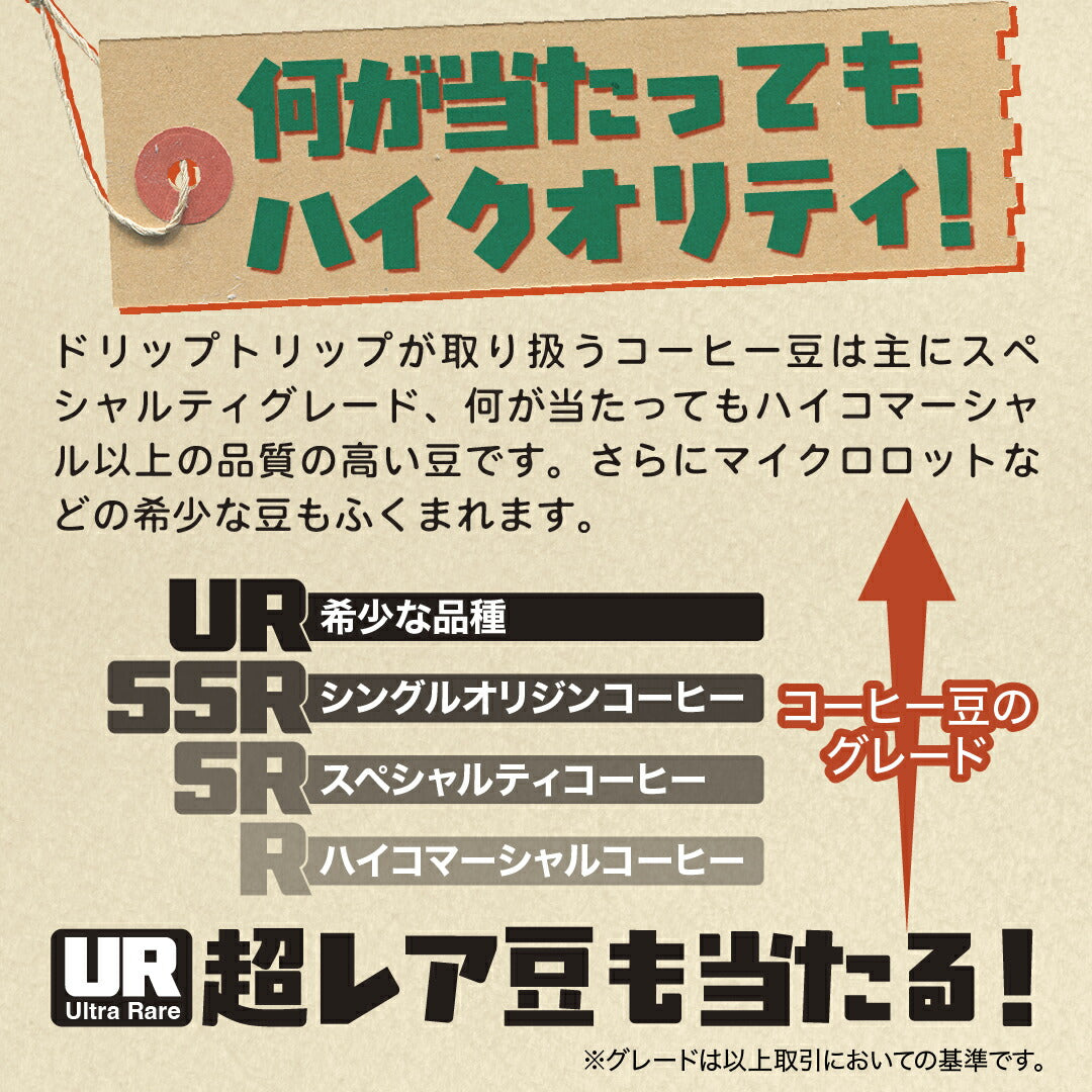 【はずれなし】豆ガチャ コーヒー豆 100g×1袋 2袋 3袋 おまかせ スペシャルティコーヒー シングルオリジン 焙煎度が選べる 豆 粉 珈琲 福袋 driptrip