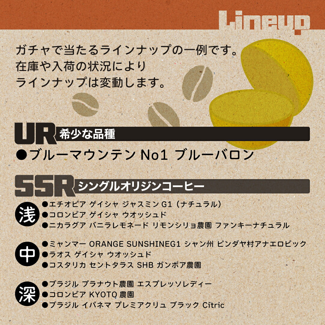 【はずれなし】豆ガチャ コーヒー豆 100g×1袋 2袋 3袋 おまかせ スペシャルティコーヒー シングルオリジン 焙煎度が選べる 豆 粉 珈琲 福袋 driptrip