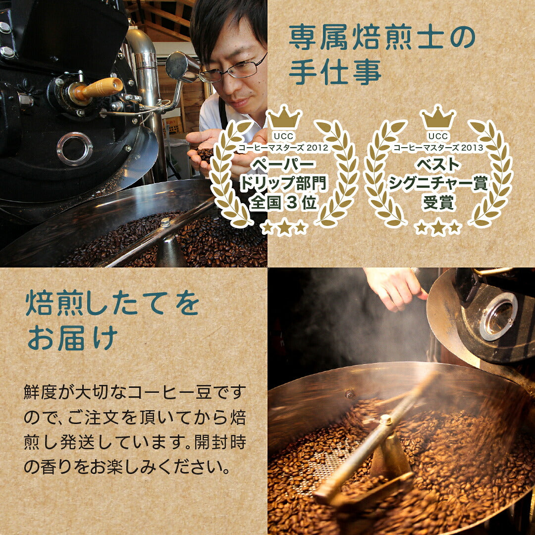 【はずれなし】豆ガチャ コーヒー豆 100g×1袋 2袋 3袋 おまかせ スペシャルティコーヒー シングルオリジン 焙煎度が選べる 豆 粉 珈琲 福袋 driptrip
