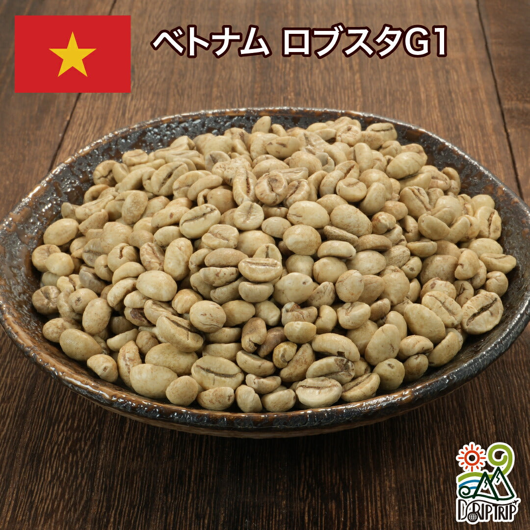 ベトナム ロブスタG1