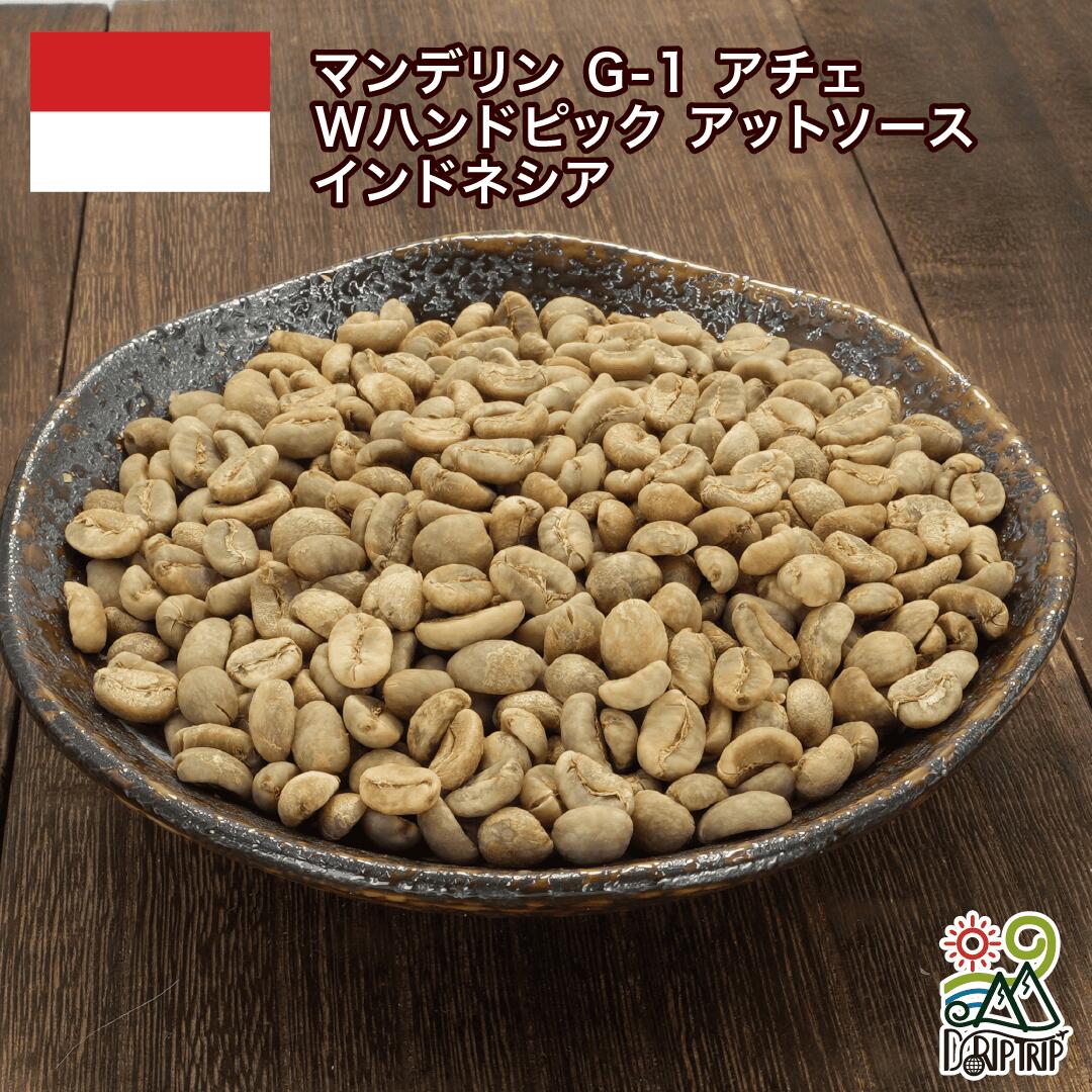 コーヒー生豆 お試しセット 6種 600g 自家焙煎用 未焙煎 珈琲 生豆 飲み比べ 初心者向け サントス モカ マンデリン グァテマラ DRIP TRIP 送料無料