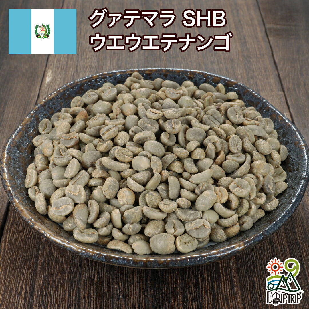 コーヒー生豆 お試しセット 6種 600g 自家焙煎用 未焙煎 珈琲 生豆 飲み比べ 初心者向け サントス モカ マンデリン グァテマラ DRIP TRIP 送料無料