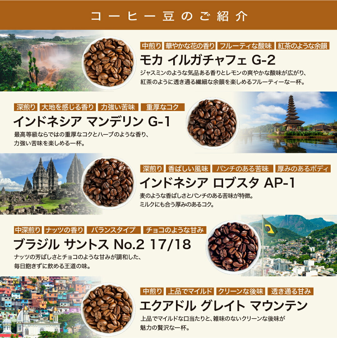 コーヒー豆 お試しセット 15種類から選べる3種 飲み比べ 100g×3袋 送料無料 浅煎り 中煎り 深煎り 焙煎したて スペシャルティコーヒー 自家焙煎 珈琲豆 DRIP TRIP ドリップトリップ 送料無料
