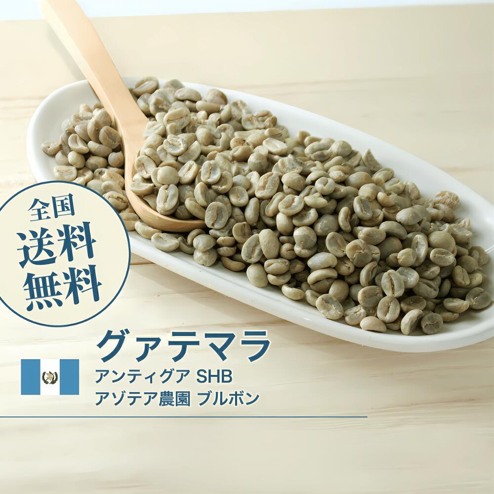 グアテマラ アンティグア SHB アゾテア農園 ブルボン