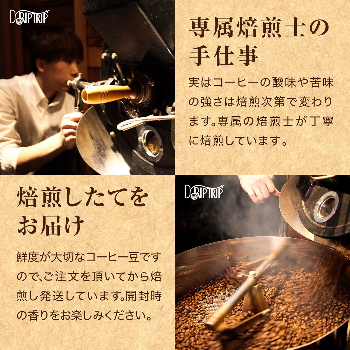 コーヒー豆 お試しセット 15種類から選べる3種 飲み比べ 100g×3袋 送料無料 浅煎り 中煎り 深煎り 焙煎したて スペシャルティコーヒー 自家焙煎 珈琲豆 DRIP TRIP ドリップトリップ 送料無料